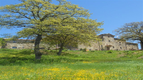 il casale dei barboni